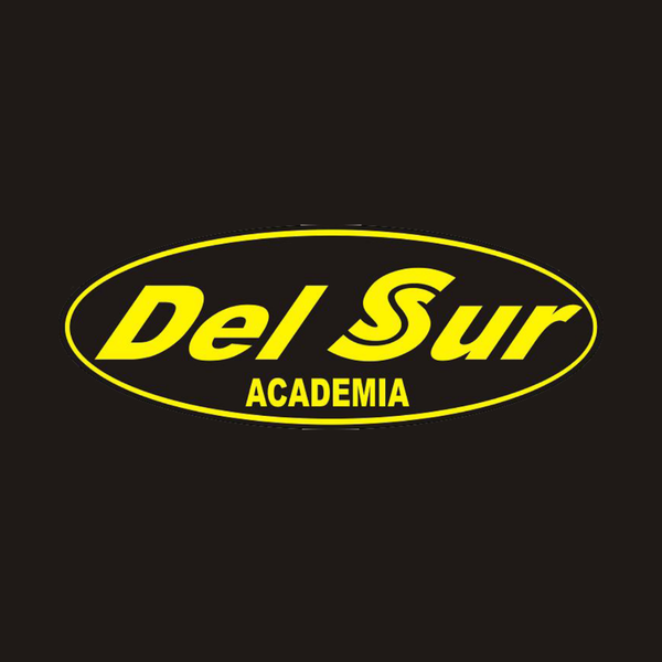 Del Sur Academia